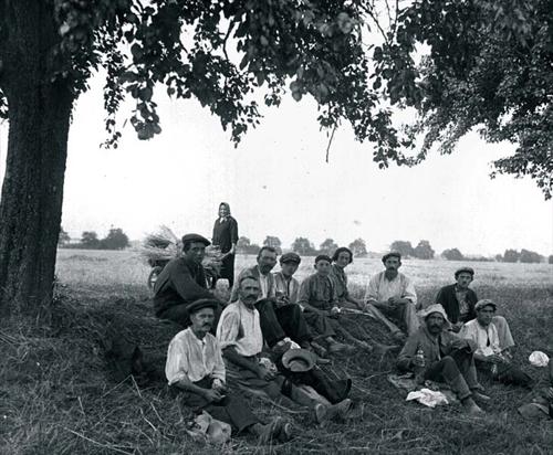Moissons Fontenay